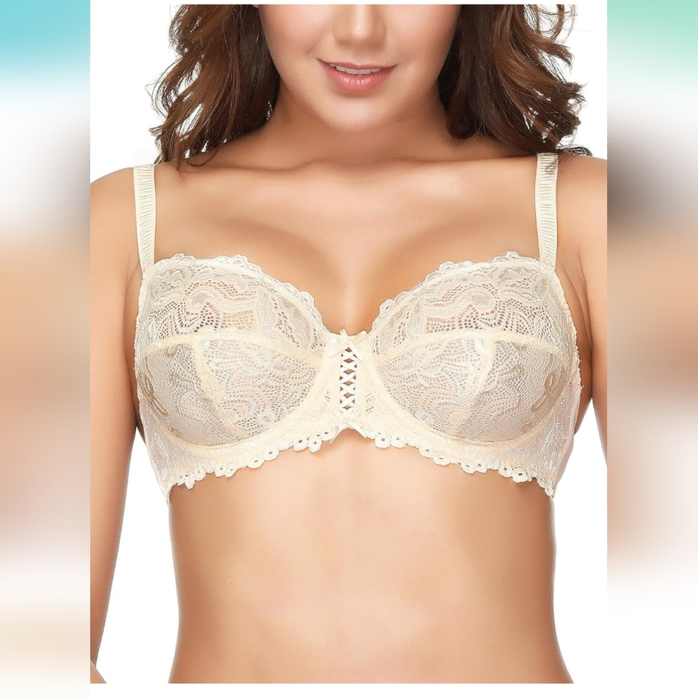 WingsLove Floral Lace Bra    36B   NWT